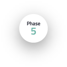 strategy-our-methodology-phase-5